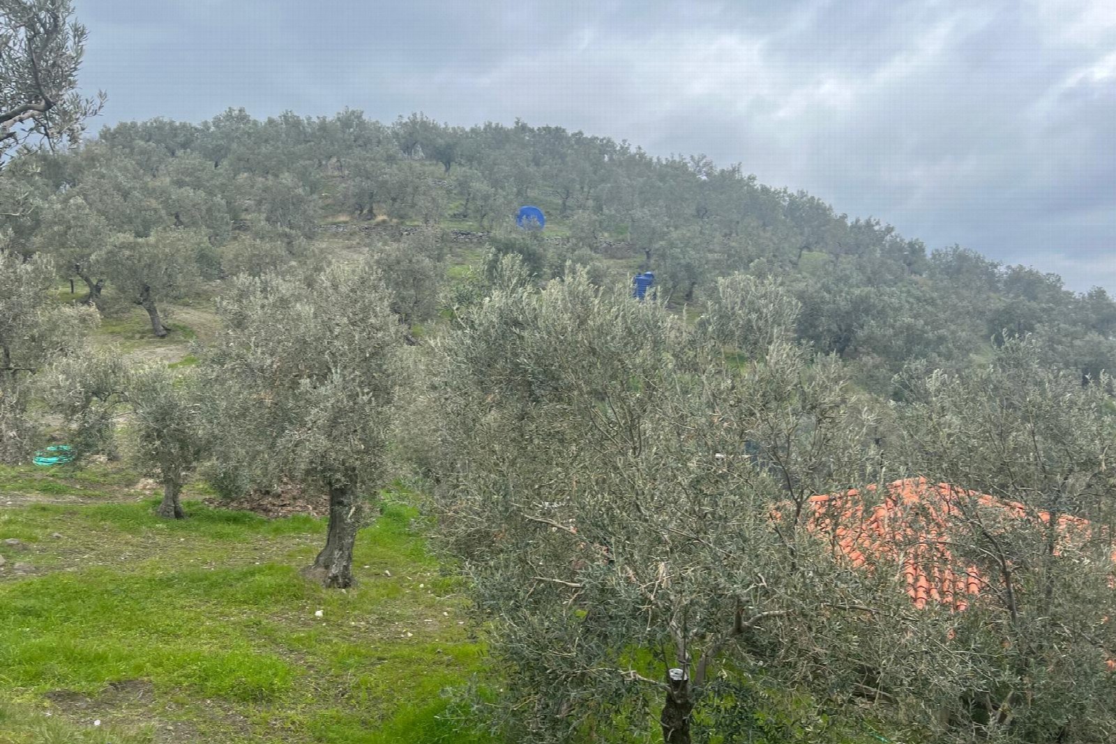 Çiftliğimizden bir kare