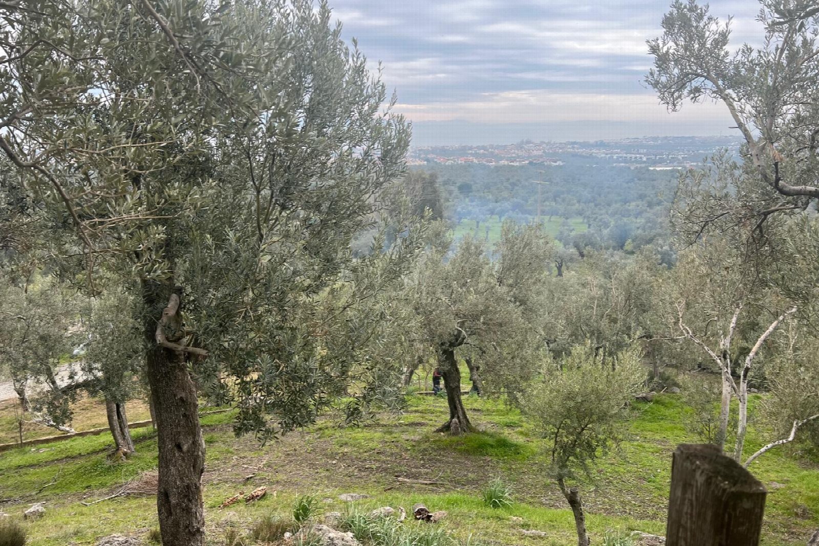 Çiftliğimizden bir kare